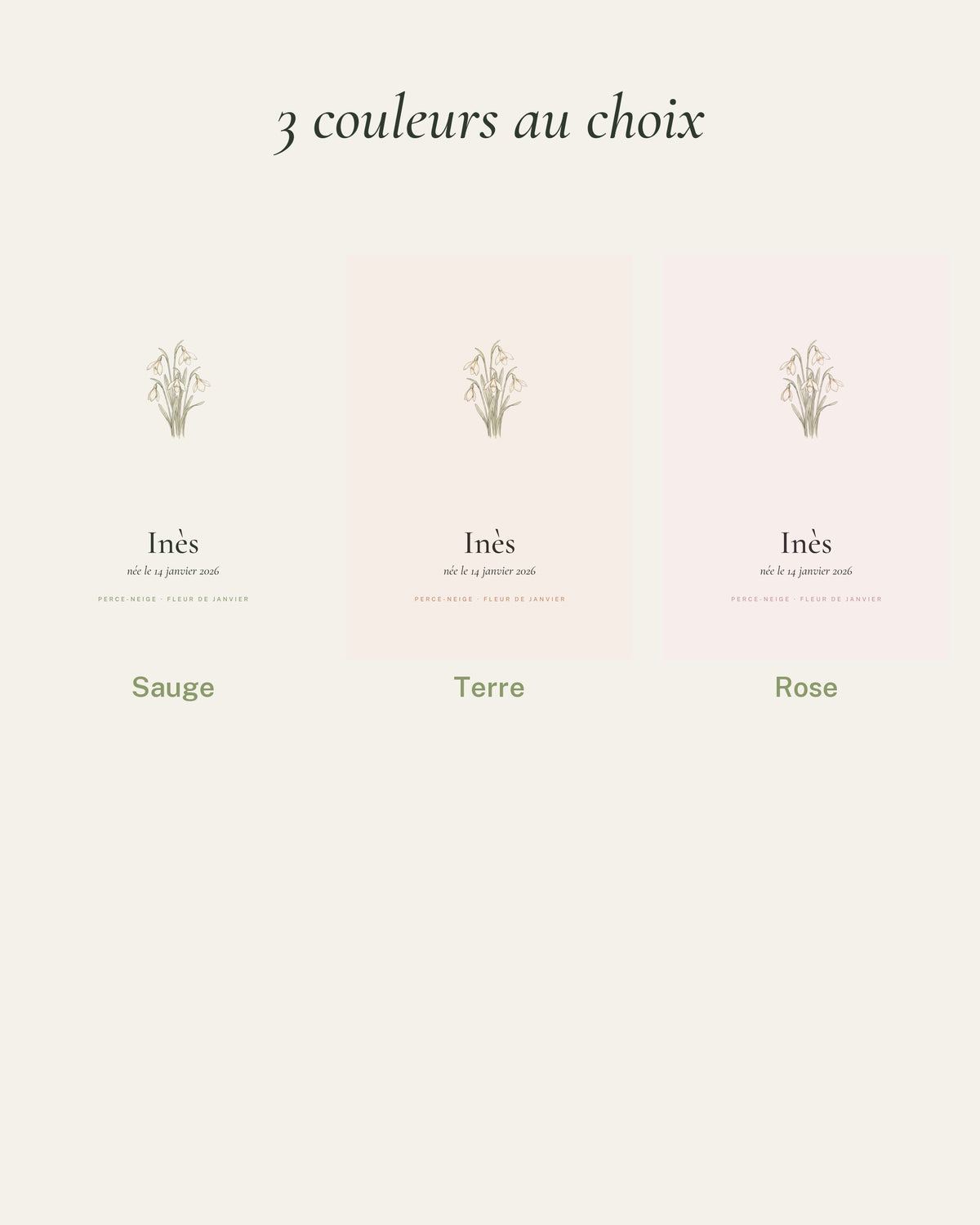 Affiche fleur de naissance : les 3 couleurs au choix