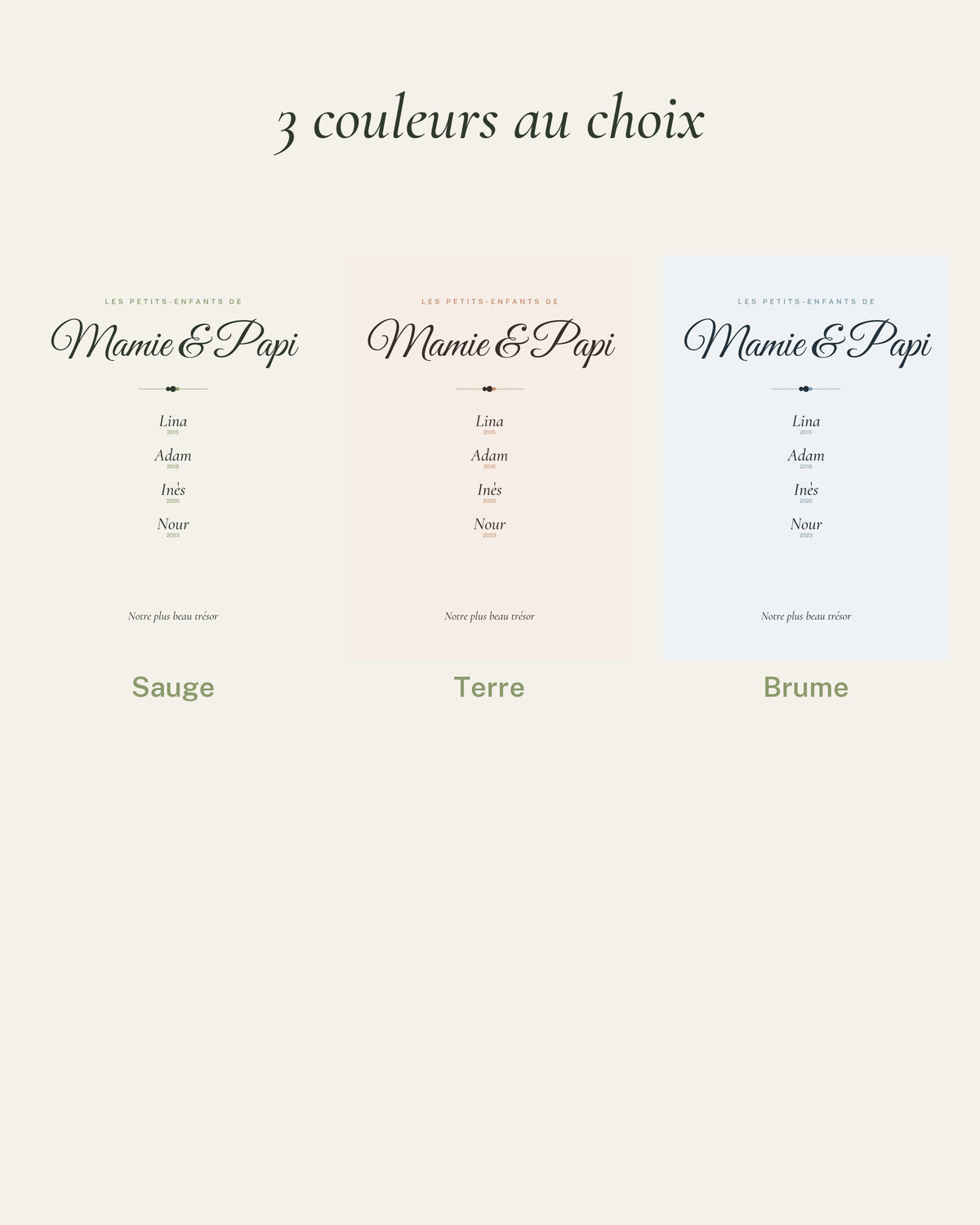 Affiche mamie : les 3 couleurs au choix