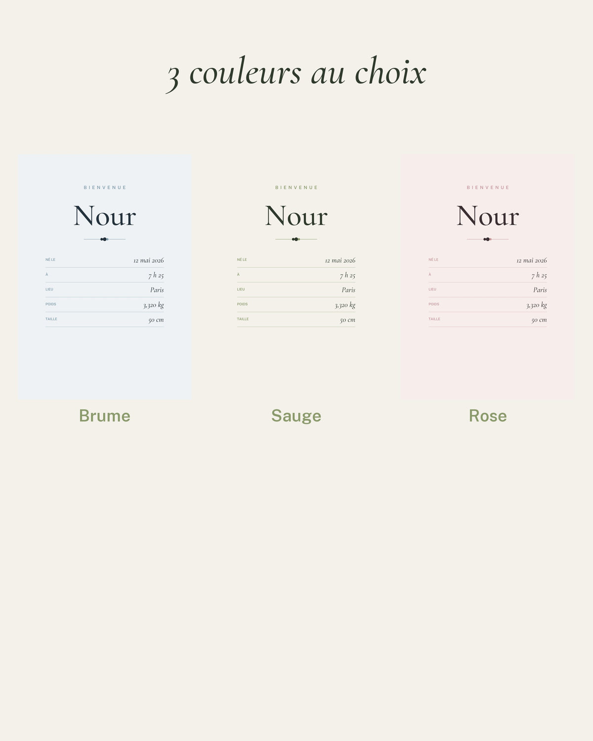 Affiche naissance bébé : les 3 couleurs au choix